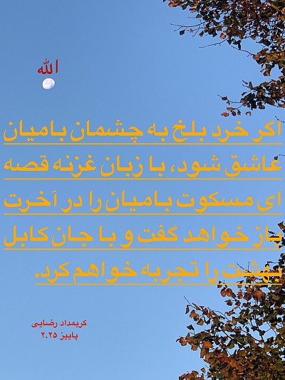 حروف الفبای فارسی و دری